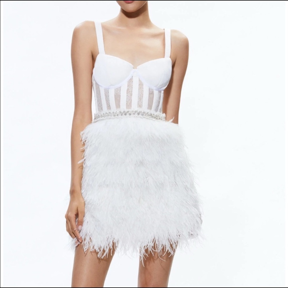 NEVER WORN Alicia & Olivia Shia Sheer Bustier Feather Dress - Picture 2 of 8